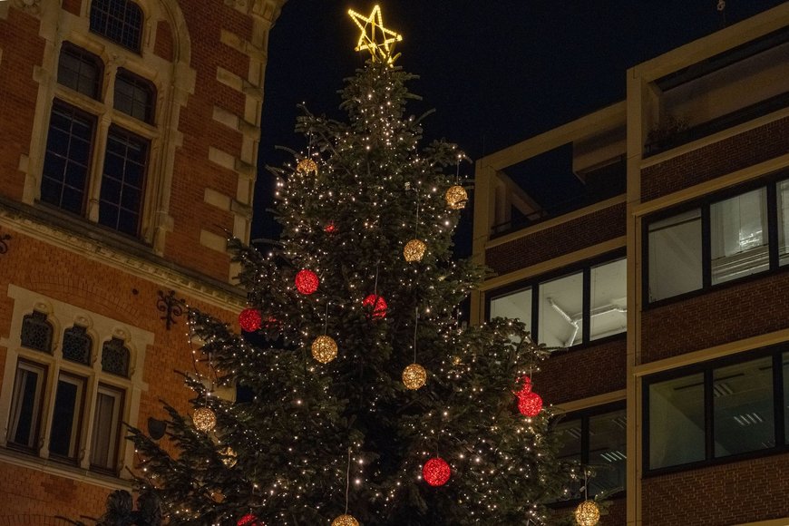 Der Weihnachtsbaum am Alten Rathaus auf dem Lamberti-Markt 2021. Foto: Sascha Stüber