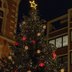 Vorschau: Der Weihnachtsbaum am Alten Rathaus auf dem Lamberti-Markt 2021. Foto: Sascha Stüber