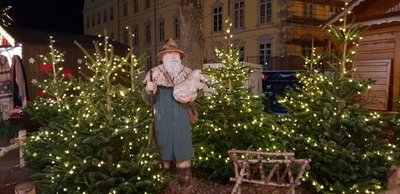 Der Weihnachtswald mit Figuren auf dem Schloßplatz. Foto: Stadt Oldenburg