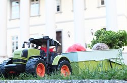 In einen Spielzeug-Trecker wurde Gemüse eingeladen. Foto: Stadt Oldenburg