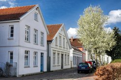 Blühende Weißdornbäume im Johannisviertel in Oldenburg. Foto: Hans-Jürgen Zietz