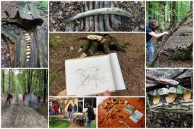 Collage vom Aktionstag „Kunst im Wald“. Fotos: Stadt Oldenburg