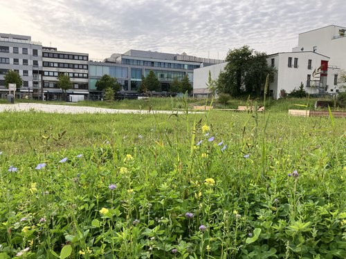 Foto: Stadt Oldenburg