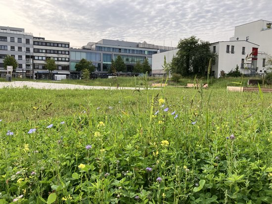 Foto: Stadt Oldenburg