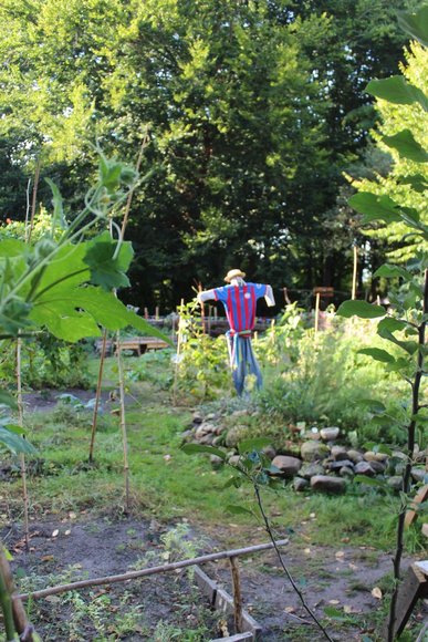 Das Gartenprojekt und seine neue Vogelscheuche. Foto: Sonja Deuling