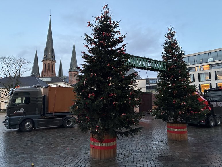 Stadt Oldenburg Der Aufbau des Lamberti-Marktes auf dem Schloßplatz am 17. November 2025 mit Deko-Tannen. Foto: Stadt Oldenburg