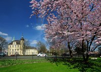Frühlingsblüten im Schloßgarten. Foto: Hans-Jürgen Zietz.