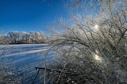 Wintertag am Bürgerfelder Teich in Oldenburg. Foto: Hans-Jürgen Zietz