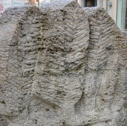 Detailaufnahme des Brunnens von Udo Reimann; Blätterformen. Foto: Stadt Oldenburg