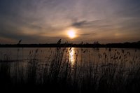 Sonnenuntergang am Bornhorster See