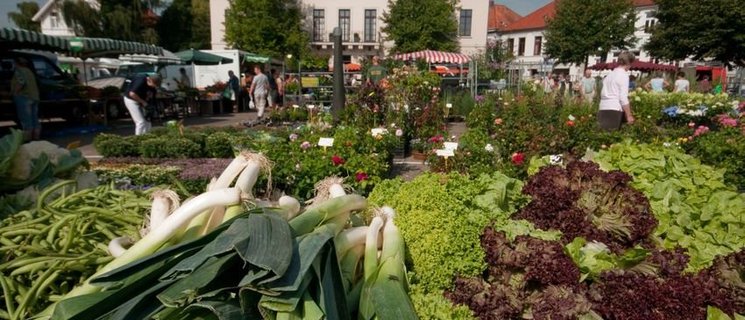 Blick über den Wochenmarkt Pferdemarkt. Foto: Peter Duddek