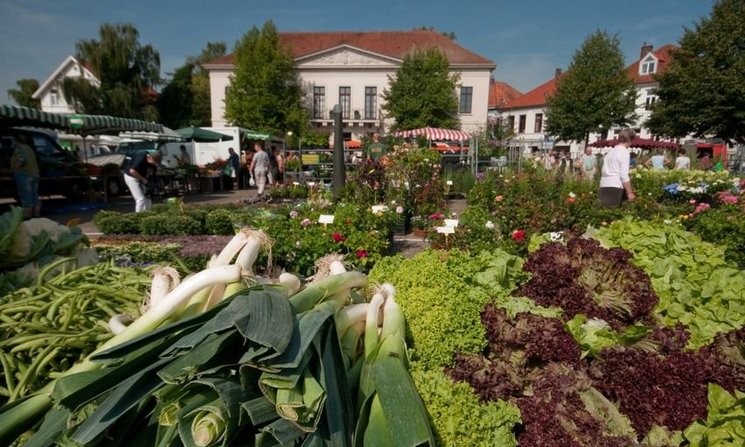 Blick über den Wochenmarkt Pferdemarkt. Foto: Peter Duddek
