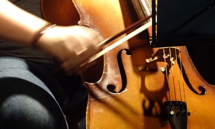 Cellist. Foto: Stadt Oldenburg