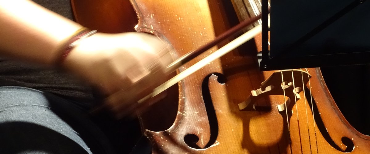 Cellist. Foto: Stadt Oldenburg