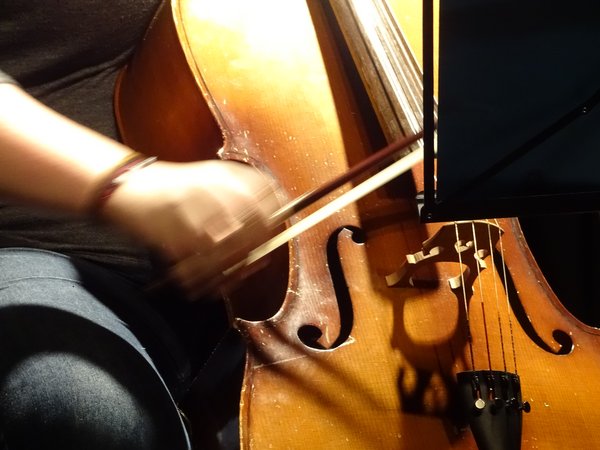 Nahaufnahme eines Cellospiels. Foto: Stadt Oldenburg