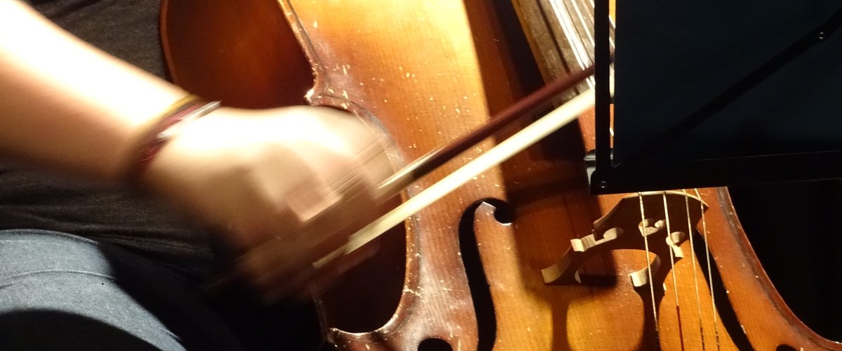 Cellist. Foto: Stadt Oldenburg