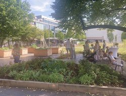 Menschen sitzen neben den Hochbeeten im Schatten. Foto: Stadt Oldenburg