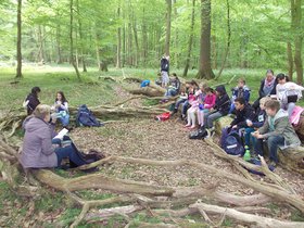 Schulklasse im Wald. Quelle: Stadt Oldenburg