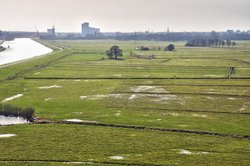 Das Naturschutzgebiet Bornhorster Huntewiesen im Frühling. Foto: Hans-Jürgen Zietz