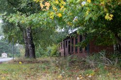 Nicht nur Bagger und Kräne dominieren den Fliegerhorst, auch viele Rückzugsräume für Wildtiere bestehen noch – hier muss, vor allem von Hundehaltern, Rücksicht genommen werden. Foto: Sascha Stüber Nicht nur Bagger und Kräne dominieren den Fliegerhorst, auch viele Rückzugsräume für Wildtiere bestehen noch – hier muss, vor allem von Hundehaltern, Rücksicht genommen werden. Foto: Sascha Stüber