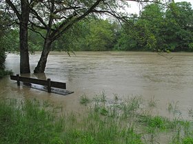 Überschwemmte Landschaft mit einer im Wasser stehenden Ruhebank. Foto: berggeist007/Pixelio.de