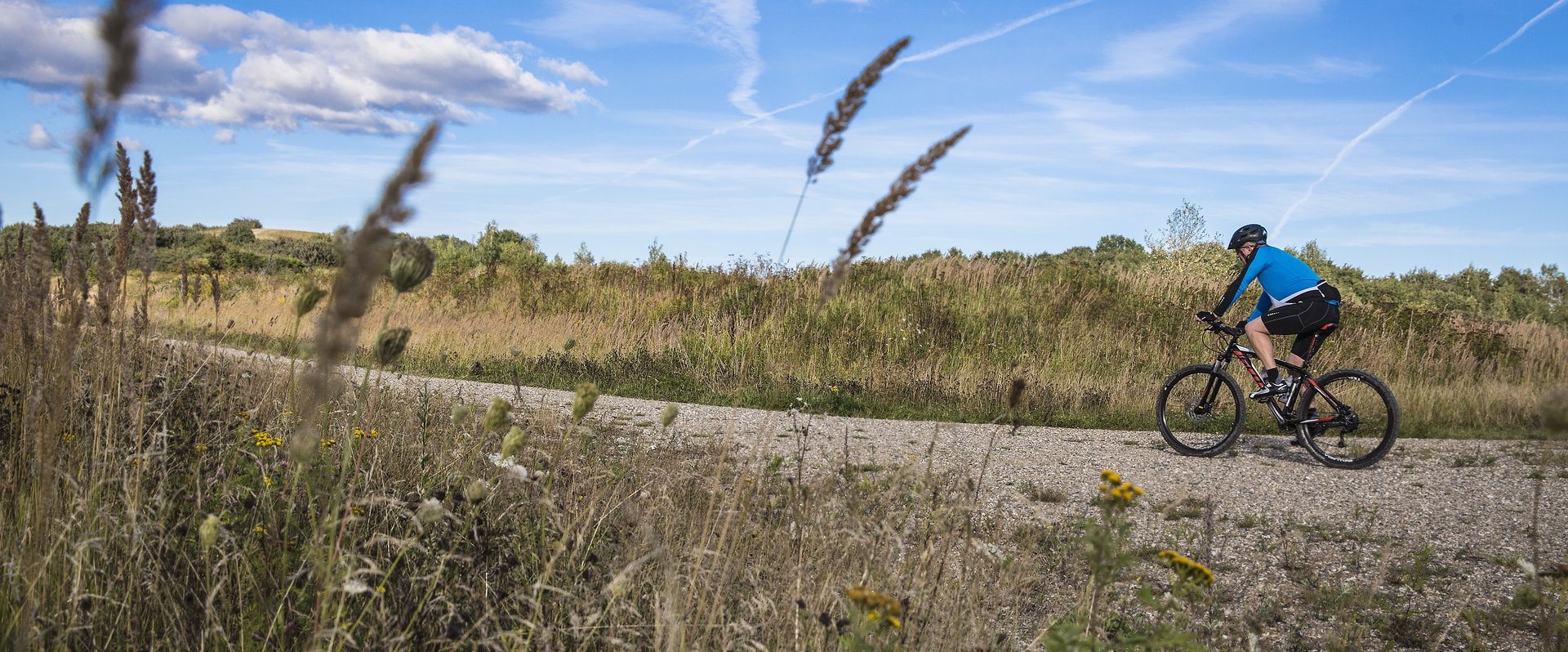 Radfahrer im Naturschutzgebiet Hedeland bei Høje-Taastrup. Foto: Claus Bjørn Larsen