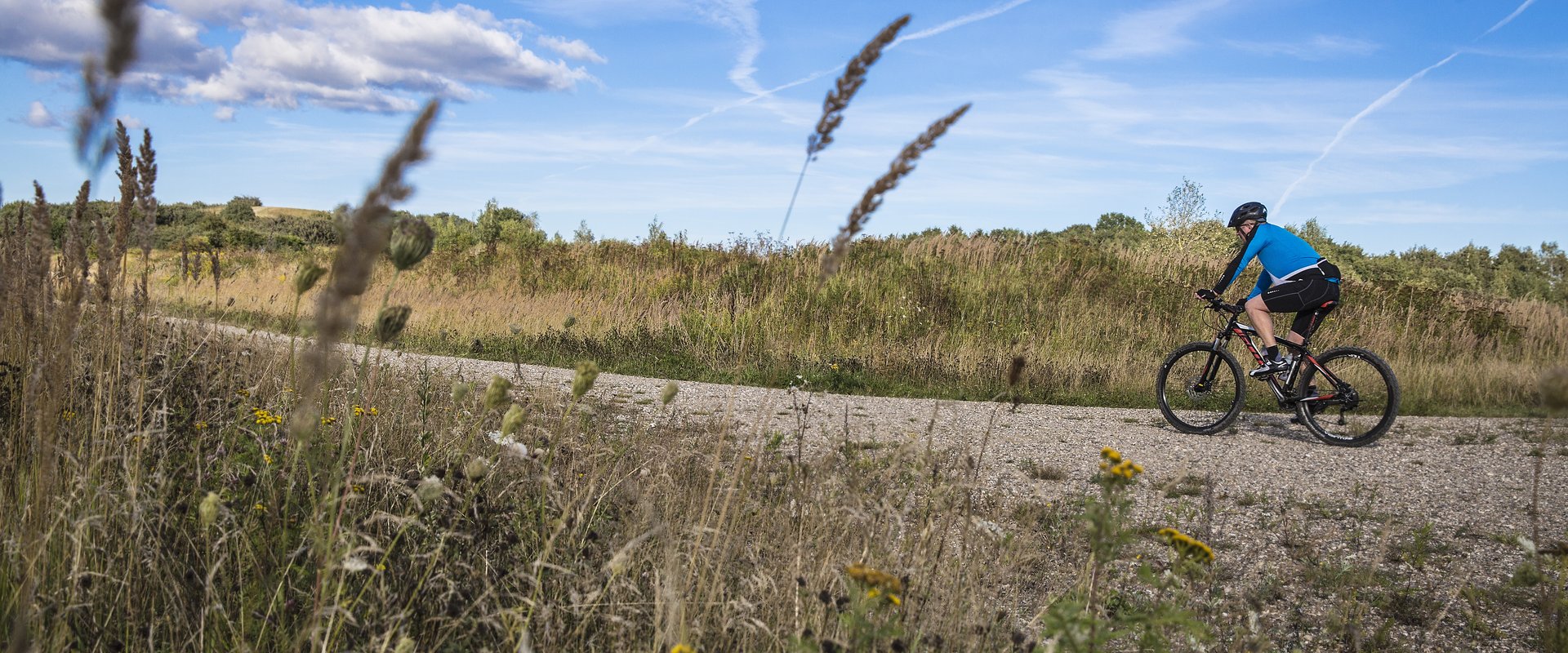 Radfahrer im Naturschutzgebiet Hedeland bei Høje-Taastrup. Foto: Claus Bjørn Larsen