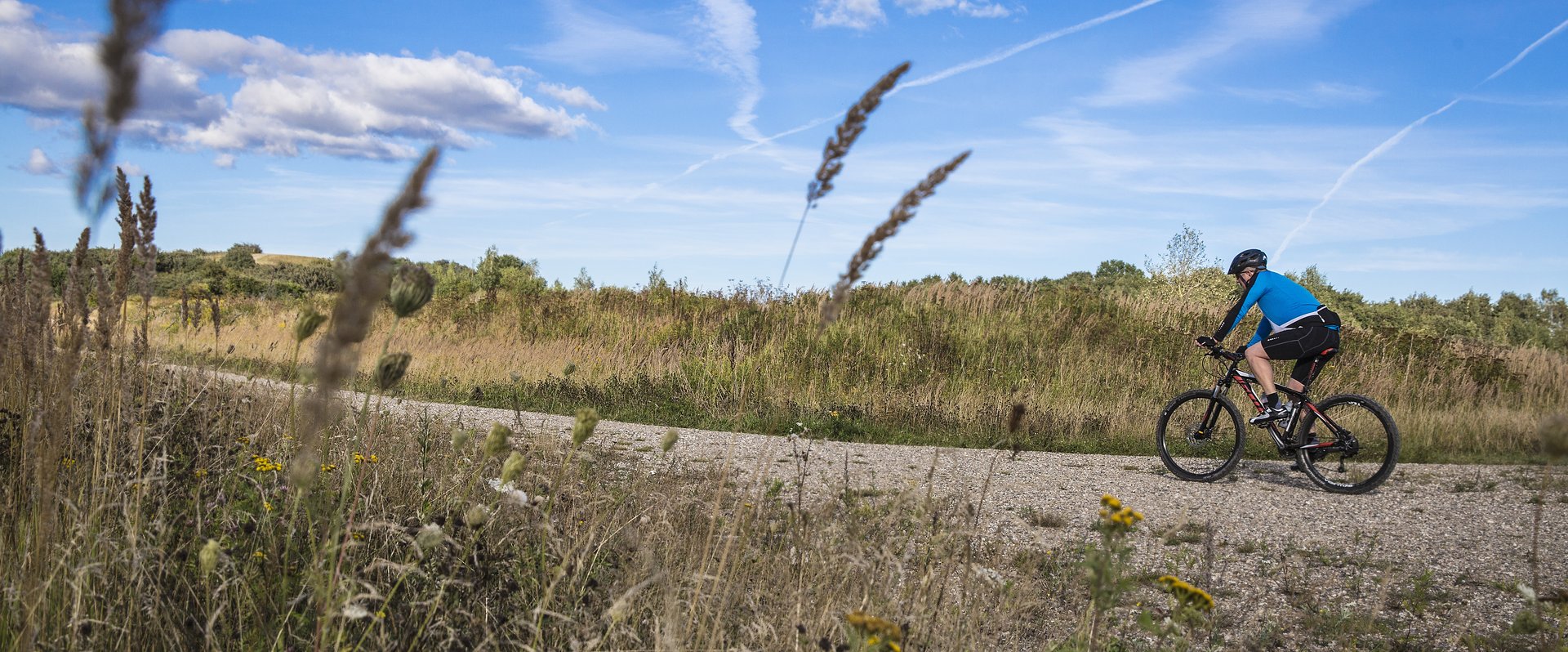 Radfahrer im Naturschutzgebiet Hedeland bei Høje-Taastrup. Foto: Claus Bjørn Larsen