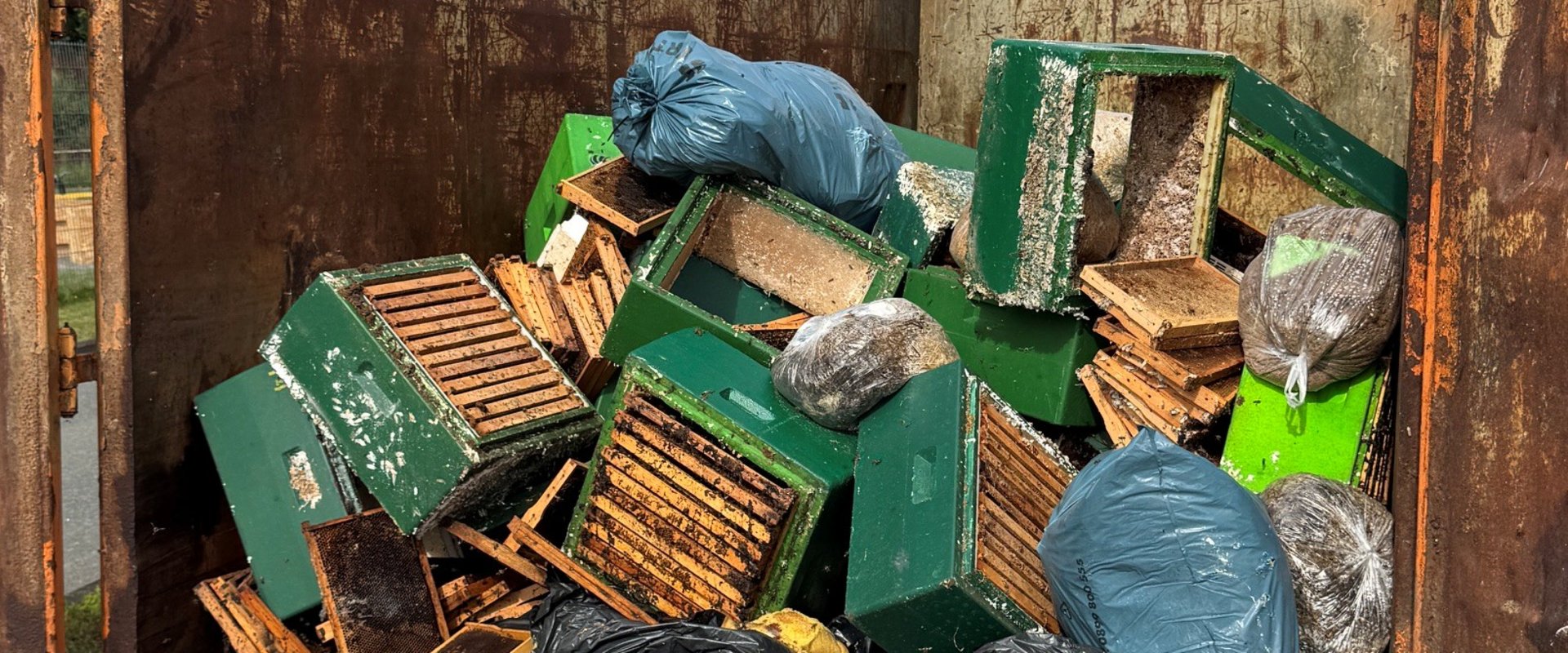 Entsorgte Bienenstöcke im Container. Foto: Stadt Oldenburg