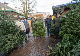 Schausteller mit den ungeschmückten Tannenbäume, die nach dem Lamberti-Markt 2022 verschenkt wurden. Foto: Sascha Stüber