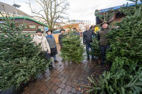 Schausteller mit den ungeschmückten Tannenbäume, die nach dem Lamberti-Markt 2022 verschenkt wurden. Foto: Sascha Stüber Schausteller mit den ungeschmückten Tannenbäume, die nach dem Lamberti-Markt 2022 verschenkt wurden. Foto: Sascha Stüber
