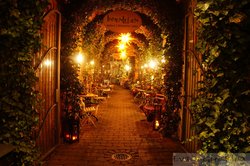 Foto: Milena Schnell Foto: Milena Schnell