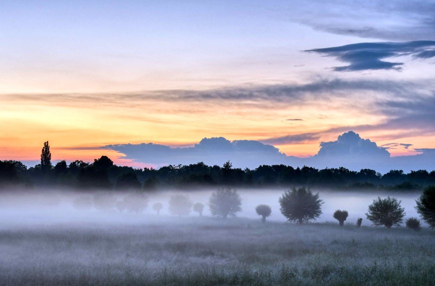 Abendnebel über der Hunteniederung in Oldenburg Foto: Hans-Jürgen Zietz