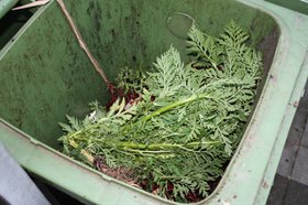 Biotonne gefüllt mit Bioabfall. Foto:M.E./pixelio Biotonne gefüllt mit Bioabfall. Foto:M.E./pixelio