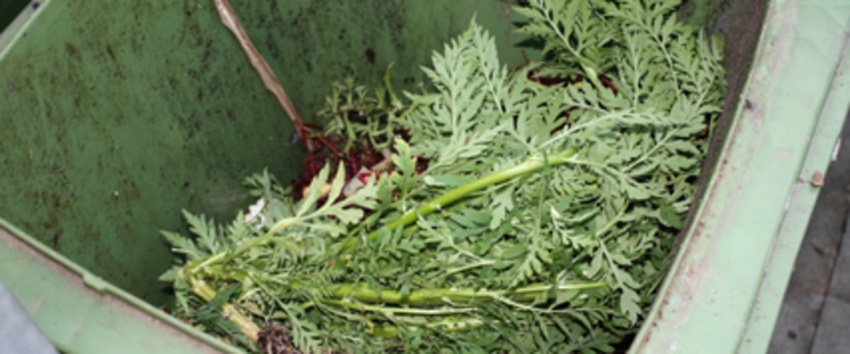 Biotonne gefüllt mit Bioabfall. Foto:M.E./pixelio