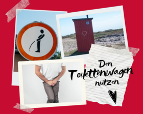 Collage. Toilettenwagen nutzen. Foto: canva