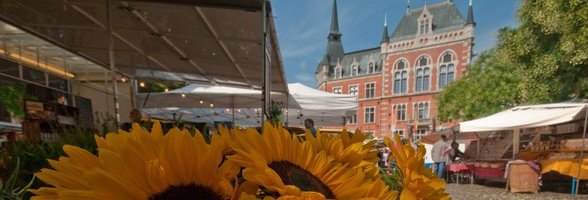 Wochenmarkt Rathausmarkt. Foto: Peter Duddek