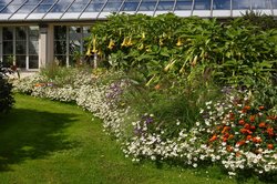 Bunte Sommerblumen im Oldenburger Schlossgarten. Foto: Hans-Jürgen Zietz