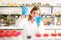 Eine Forscherin stellt im Labor Eiweiß-Cryptochrom her. Foto: Uni Oldenburg/Christian Kuhaupt