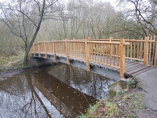 Diese Fußgängerbrücke in der Haarenniederung bekommt einen neuen Holzbohlenbelag. Foto: Stadt Oldenburg Foto: Stadt Oldenburg