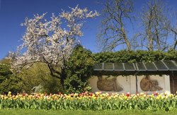Frühlingsblüten und Mosaike im Oldenburger Schlossgarten. Foto: Hans-Jürgen Zietz