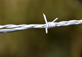 Detail von Stacheldraht. Foto: viviane6276/Pixabay