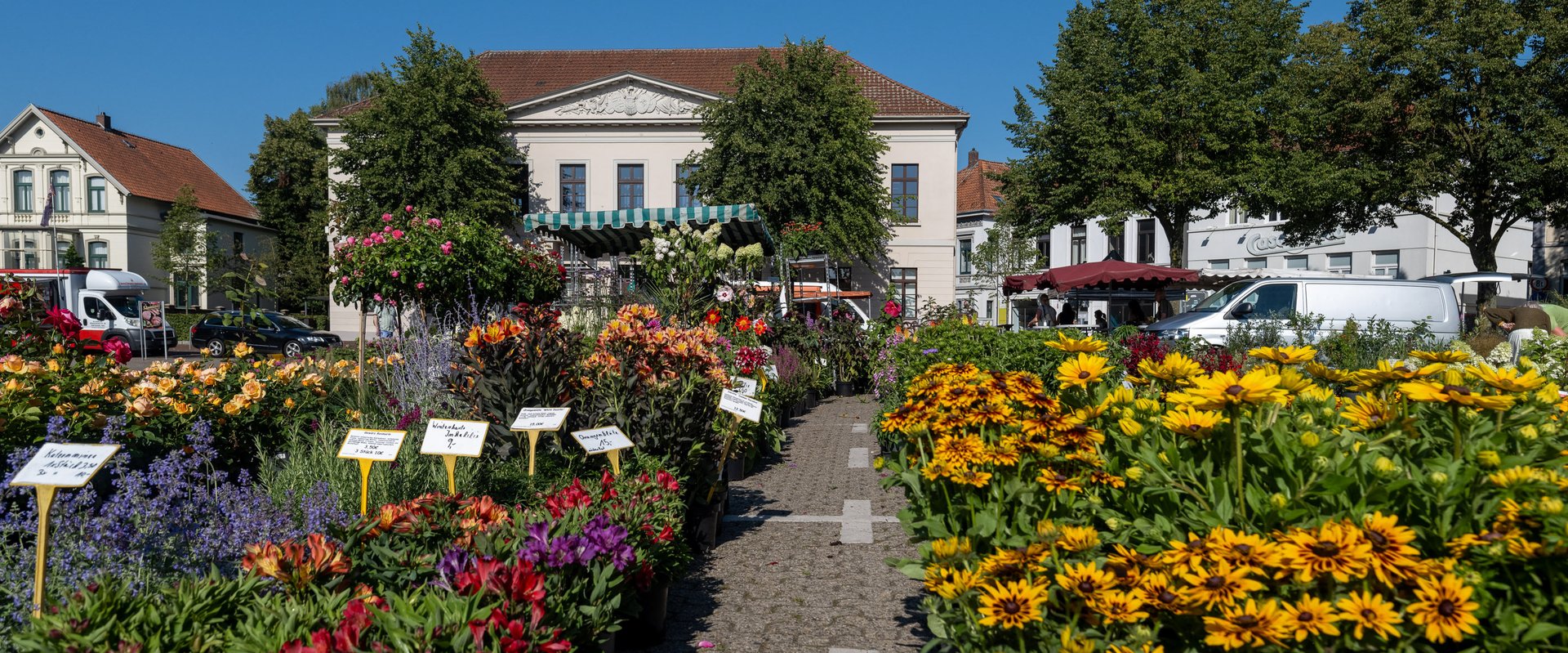 Blumen und Pflanzen auf dem Wochenmarkt auf dem Pferdemarkt. Foto: Sascha Stüber
