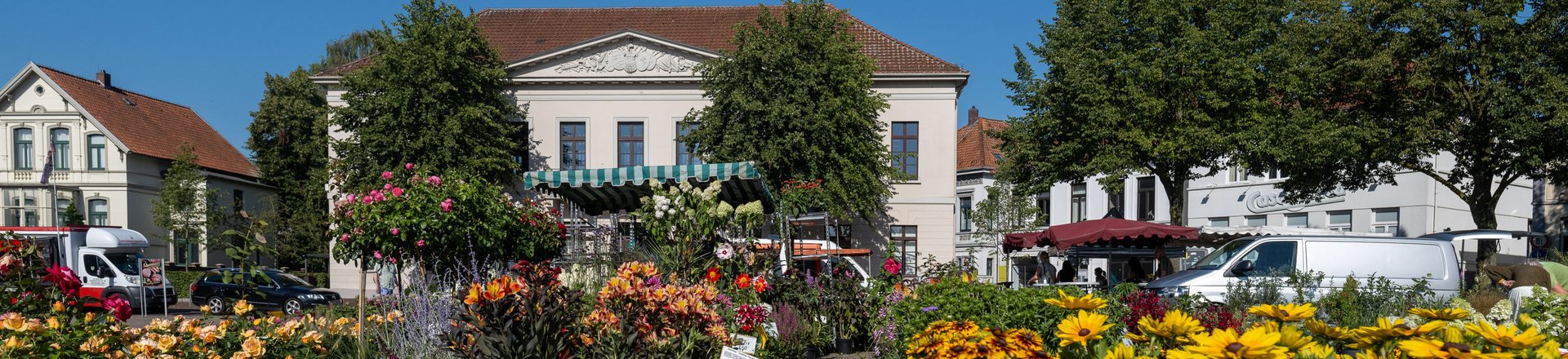 Blumen und Pflanzen auf dem Wochenmarkt auf dem Pferdemarkt. Foto: Sascha Stüber