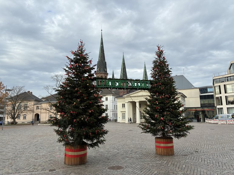 Stadt Oldenburg Deko-Tannen auf dem Schloßplatz. Foto: Stadt Oldenburg