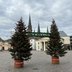 Vorschau: Deko-Tannen auf dem Schloßplatz. Foto: Stadt Oldenburg