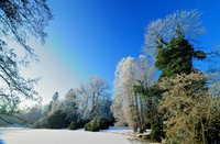 Oldenburger Schlossgarten. Foto: Hans-Jürgen Zietz