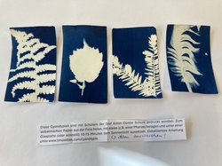 Cyanotpie für den KinderKunstAutomaten. Foto: Stadt Oldenburg