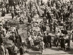 Der Schloßplatz um 1935. Foto: Bildarchiv Stadtmuseum Oldenburg