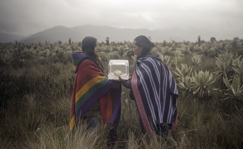 Ayênan: Water Territories, 2022. Bild: Felipe Castelblanco und Lydia Zimmermann